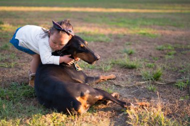 Sahada köpekle oynayan kız, arkadaşlık ve aşk konsepti..
