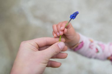 Çocuk ve ebeveyn ellerinde çiçek tutuyorlar