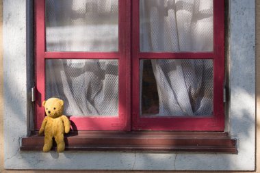 Oyuncak ayı pencerede oturmaya