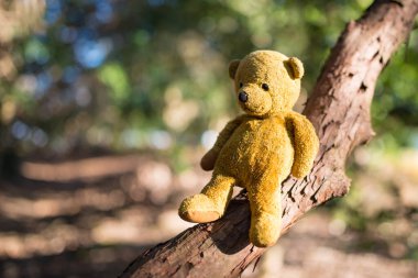 Ağaçtaki küçük sarı oyuncak ayı