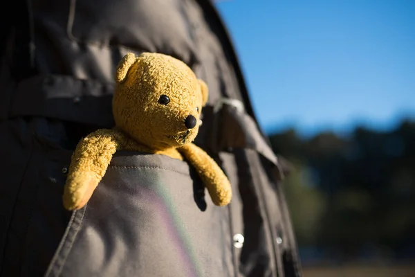 Stuffed toy bear that went into the pocket