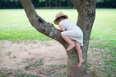Bir ağaca tırmanmaya küçük kız