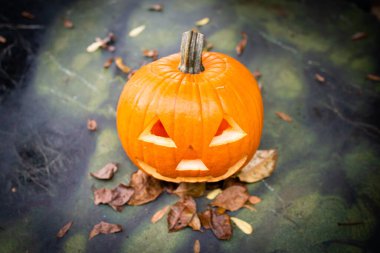 Balkabağı feneri düşmüş sonbahar yapraklarında