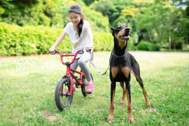 Bisiklete binen köpeği gezdiren kız.