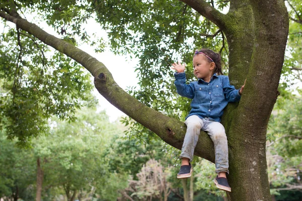 Girl to climb a tree