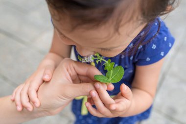 Nane çiçeklerinin kokusunu alan bir kız. 