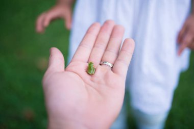 Çocuk elinde bir kurbağa tutuyor.