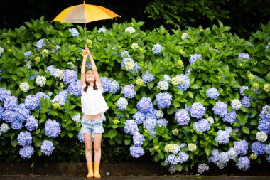 Ortanca çiçeklerinin yanındaki şemsiyeli kız.