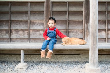 asian girl  with cat on bench 