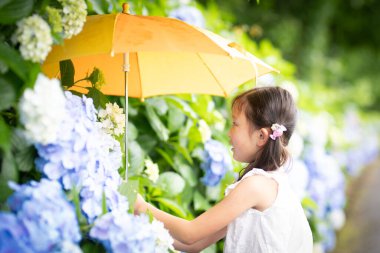 Ortanca çiçeklerinin yanındaki şemsiyeli kız.