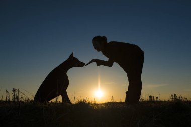 Gün batımında Doberman 'a bakan kadın.