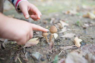 Çocuk küçük bir mantar buldu.