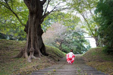 Küçük tatlı Asyalı kız geleneksel kimono parkta yürüyor.