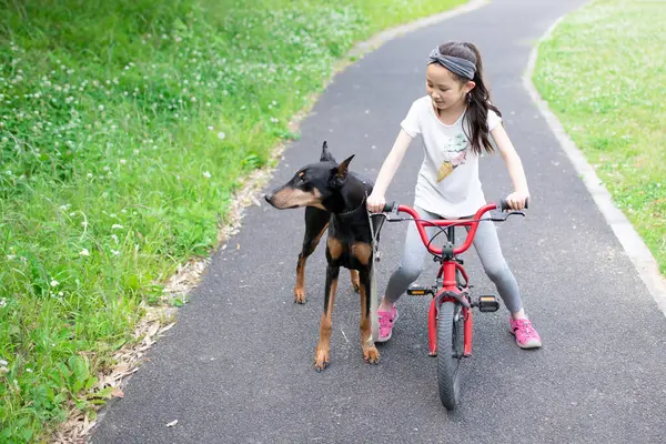 Bisikletli kız ve köpeği parkta.