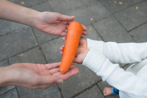 Parent Child Holding Carrot Stock Image