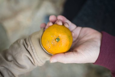 Büyükanne ve torunun elleri turuncu