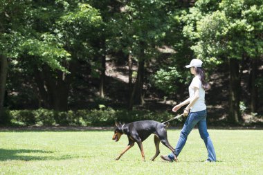 Yeşil parkta köpekli bir kadın