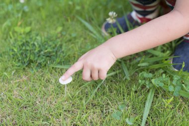 Küçük mantara dokunan çocuk