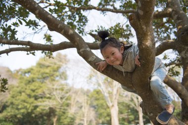 Küçük tatlı Asyalı kız ağaçta oynuyor.