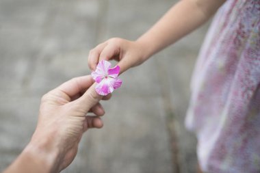 Aile ve çocuk elleri pembe bir çiçek uzatıyor.