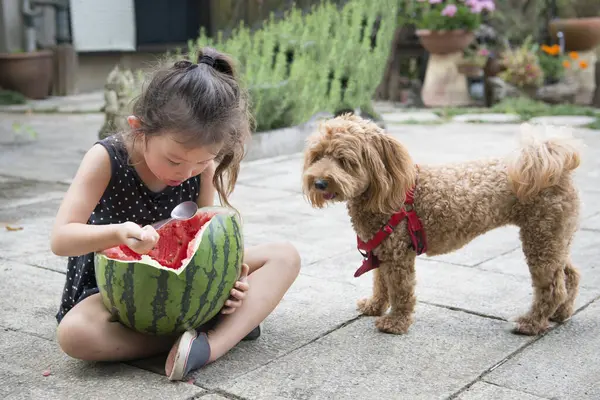 cute little asian girl  with watermelon and her dog