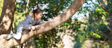 Tatlı çocuk bahçedeki ağaca tırmanıyor.