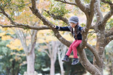 Güz parkında ağaca tırmanan güzel bir kız.