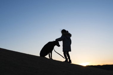 Gün batımında Doberman ve çocuğun silueti