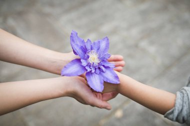 Ebeveyn ve çocuk mavi çiçek veriyor