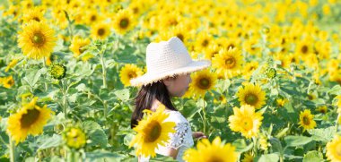 Tarlada ayçiçekleri olan küçük tatlı Asyalı kız. 