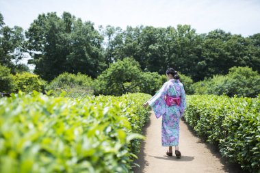 Yukata giymiş bir kadının arka görünüşü