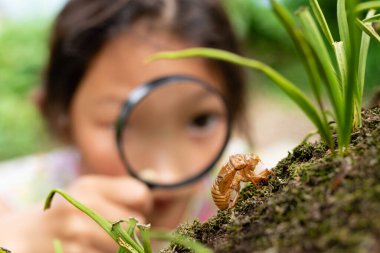 Bir kız büyüteçle ağustos böceği kabuğuna bakıyor.
