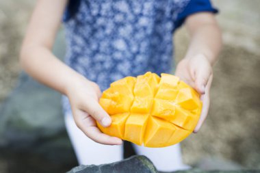 Kız elleri taze mango meyvesi tutuyor.