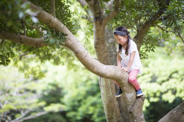 kız ağaca tırmanmak
