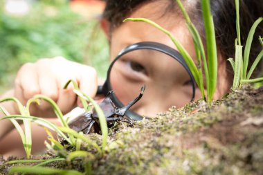 cute asian little girl  looking through a magnifier on bug  clipart