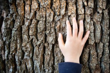 Ağaç gövdesinde genç bir kadının eli var.