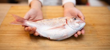 Çipura tutan bir çocuğun elleri.