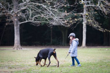 Şirin Asyalı küçük kız köpeğiyle parkta yürüyor.