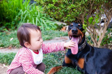 Bahçede sevimli bir köpeği olan küçük bir kız.