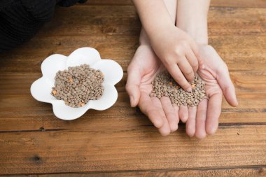 Mercimekli ebeveyn ve çocuk eli