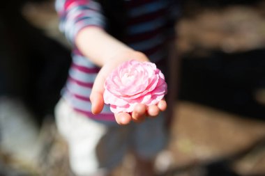 Elinde pembe bir çiçek tutan çocuk
