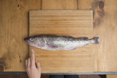 Kesme tahtasında morina balığı