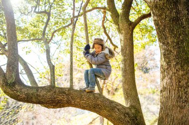 Asyalı kız ağaca tırmanıyor.