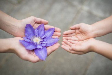 Ebeveyn ve çocuk mavi çiçek veriyor