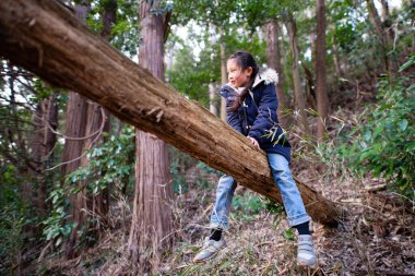Asyalı kız ağaca tırmanıyor.