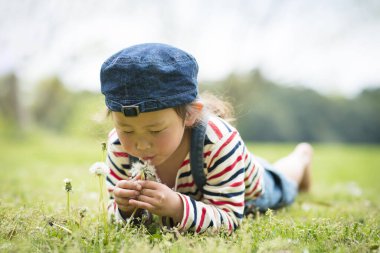 Karahindibanın tüylerini uçuran kız.