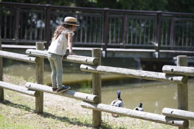 Küçük kız gölet kuşlarını izliyor.