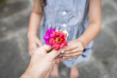Ebeveyn ve çocuk ellerinde parlak çiçekler