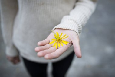 Çiçek tutan bir kadının eli