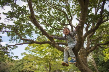 Mutlu küçük kız ağaca tırmanıyor.